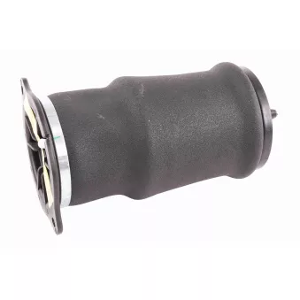 Ressort pneumatique, châssis VEMO V30-50-0024