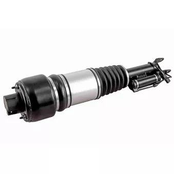 Armortisseur pneumatique avant droit VEMO V30-50-0031
