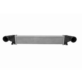 Intercooler, échangeur VEMO V30-60-1300