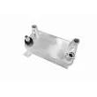 Radiateur d'huile VEMO V30-60-1355 - Visuel 1