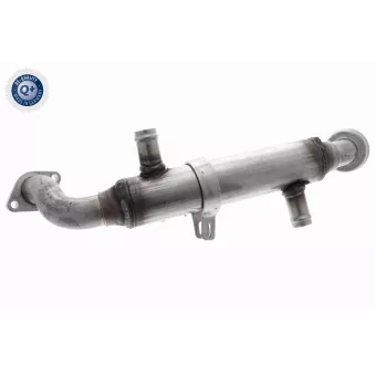 Radiateur, réaspiration des gaz d'échappement VEMO V30-63-0075