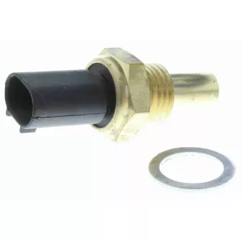 Sonde de température, liquide de refroidissement VEMO V30-72-0125