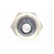 Sonde de température, liquide de refroidissement VEMO V30-72-0126 - Visuel 2