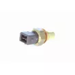 Sonde de température, liquide de refroidissement VEMO V30-72-0709 - Visuel 1