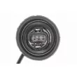 Capteur, vitesse de roue VEMO V30-72-0719 - Visuel 2