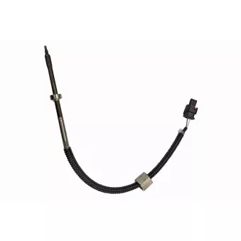 Capteur, température des gaz VEMO V30-72-0884