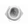 Indicateur de pression d'huile VEMO V30-73-0138 - Visuel 2