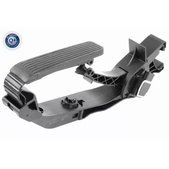 Capteur, position d'accelerateur VEMO V30-82-0020
