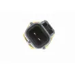 Sonde de température, liquide de refroidissement VEMO V32-72-0024 - Visuel 2