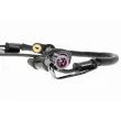 Capteur, vitesse de roue avant droit VEMO V32-72-0050 - Visuel 2