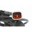Capteur, vitesse de roue avant droit VEMO V32-72-0058 - Visuel 2
