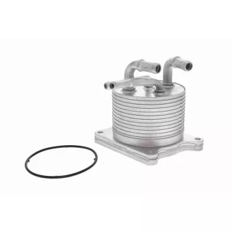 Radiateur d'huile de boîte automatique VEMO V33-60-0012