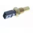 Sonde de température, liquide de refroidissement VEMO V33-72-0002 - Visuel 1