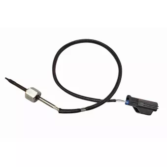 Capteur, température des gaz VEMO V33-72-0153