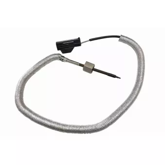 Capteur, température des gaz VEMO V33-72-0154