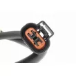 Capteur, vitesse de roue VEMO V37-72-0060 - Visuel 2