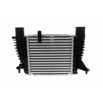 Intercooler, échangeur VEMO V38-60-0014