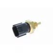Sonde de température, liquide de refroidissement VEMO V38-72-0012 - Visuel 1