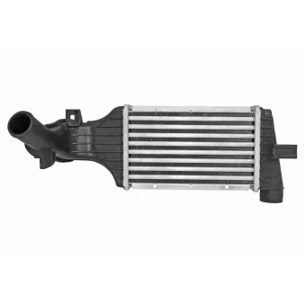 Intercooler, échangeur VEMO V40-60-2065