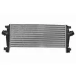 Intercooler, échangeur VEMO V40-60-2072 - Visuel 1