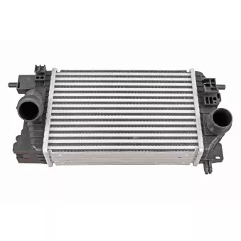 Intercooler, échangeur VEMO V40-60-2126