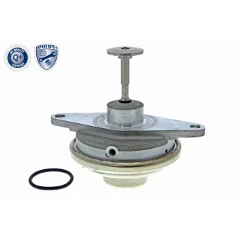Vanne EGR VEMO V40-63-0024-1