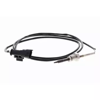 Palpeur, température des gaz VEMO V40-72-0289