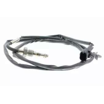 Palpeur, température des gaz VEMO V40-72-0592