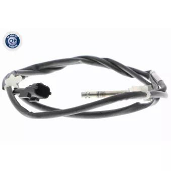 Palpeur, température des gaz VEMO V40-72-0597