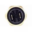 Interrupteur de température, ventilateur de radiateur VEMO V40-99-1041 - Visuel 2