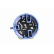 Interrupteur de température, ventilateur de radiateur VEMO V40-99-1080 - Visuel 2