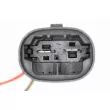 Ventilateur, refroidissement du moteur VEMO V42-01-1131 - Visuel 3