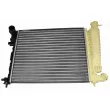 Radiateur, refroidissement du moteur VEMO V42-60-0001 - Visuel 1