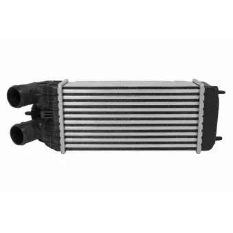 Intercooler, échangeur VEMO V42-60-0003