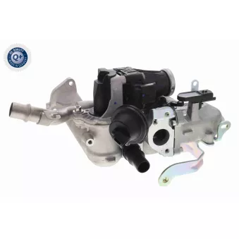 Ensemble vanne EGR, radiateur VEMO V42-63-0010