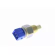 Sonde de température, liquide de refroidissement VEMO V42-72-0021 - Visuel 1