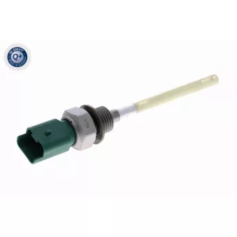 Capteur, niveau d'huile moteur VEMO V42-72-0079