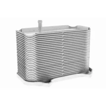 Radiateur d'huile VEMO V45-60-0002