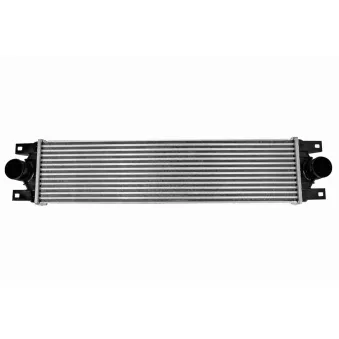 Intercooler, échangeur VEMO V46-60-0007