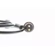 Capteur, vitesse de roue VEMO V46-72-0046 - Visuel 2