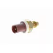 Sonde de température, liquide de refroidissement VEMO V46-72-0057 - Visuel 1