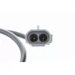 Capteur d'angle, vilebrequin VEMO V46-72-0060 - Visuel 2