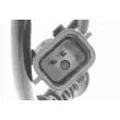 Capteur, vitesse de roue VEMO V46-72-0118 - Visuel 2