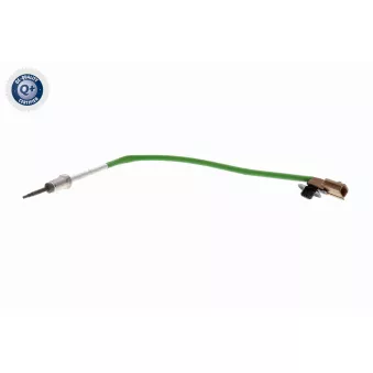 Palpeur, température des gaz VEMO V46-72-0174