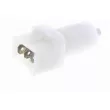 Interrupteur des feux de freins VEMO V46-73-0013 - Visuel 1