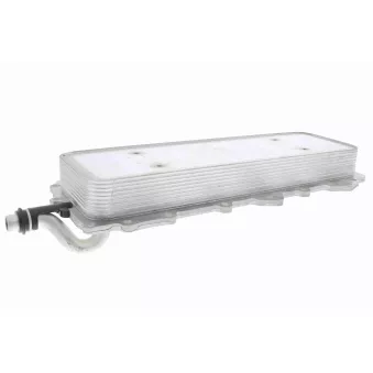 Radiateur d'huile VEMO V48-60-0024