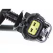 Capteur, vitesse de roue VEMO V51-72-0039-1 - Visuel 2