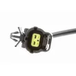 Capteur, vitesse de roue VEMO V51-72-0040 - Visuel 2