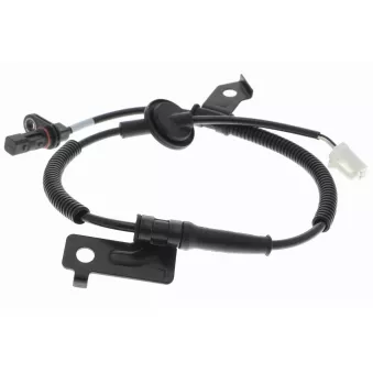 Capteur, vitesse de roue VEMO V52-72-0169