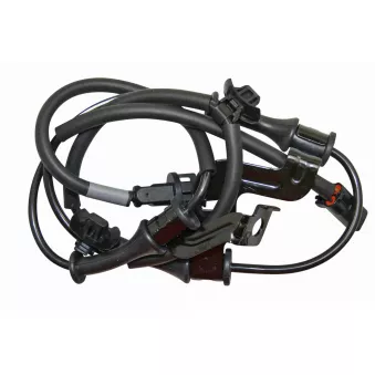 Capteur, vitesse de roue avant droit VEMO V52-72-0262